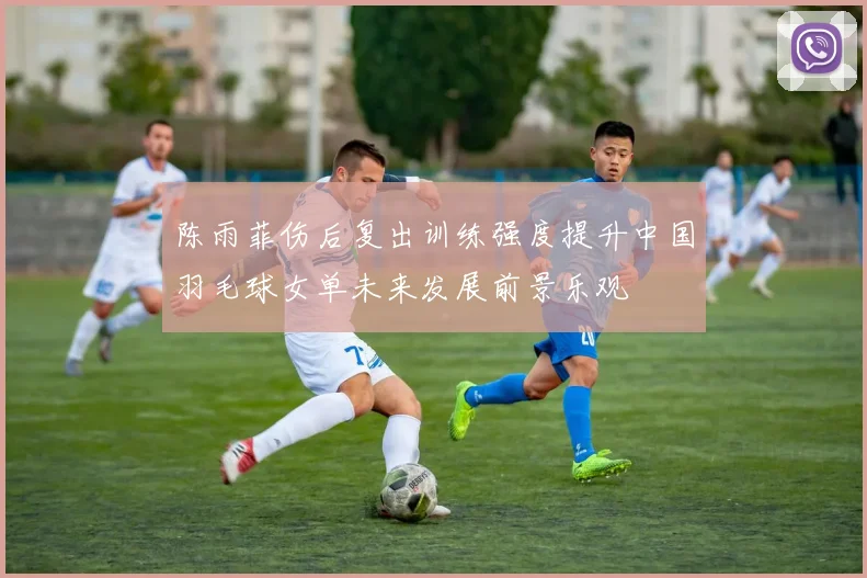 陈雨菲伤后复出训练强度提升中国羽毛球女单未来发展前景乐观