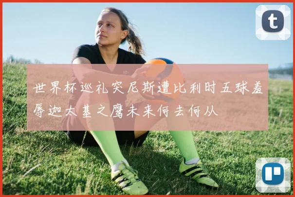 世界杯巡礼突尼斯遭比利时五球羞辱迦太基之鹰未来何去何从