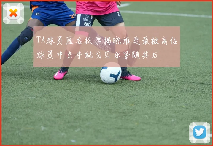 TA球员匿名投票揭晓谁是最被高估球员申京夺魁戈贝尔紧随其后