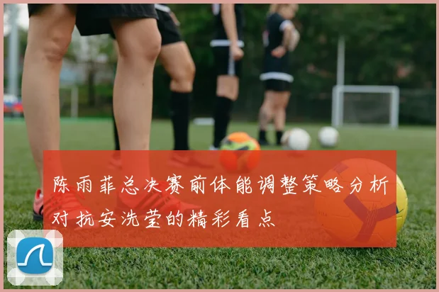 陈雨菲总决赛前体能调整策略分析对抗安洗莹的精彩看点